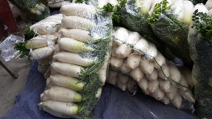 鼎盛农副产品2015年03月14日彭州市萝卜价格 绿果网产地报价