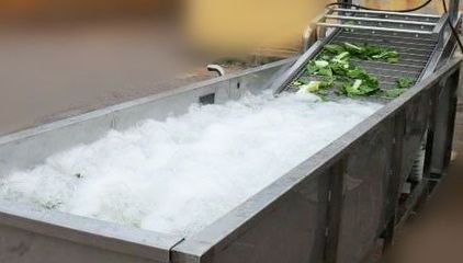 贵阳果蔬清洗机 龙祥食品机械品质保障 气泡式果蔬清洗机